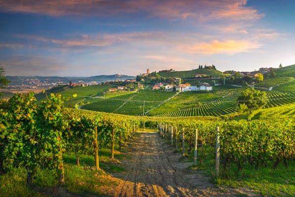 Alps, art and aperitivo: 10 reasons to visit Piedmont