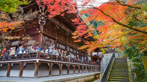 Japan itineraries: 5 of the best routes to explore the country