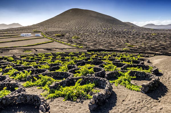 Pace yourself in the world’s booziest races