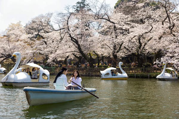 The best times to visit Tokyo across the seasons