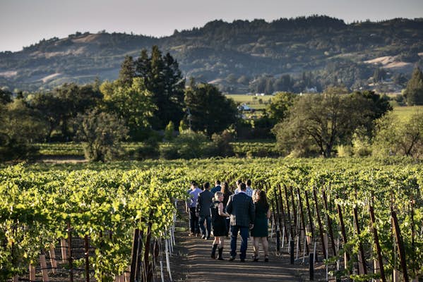 These 7 wine regions in the USA offer a perfect weekend getaway