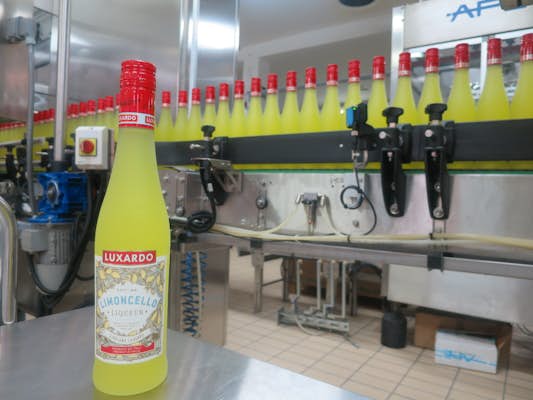Visit the home of Limoncello: inside Italy’s Luxardo distillery